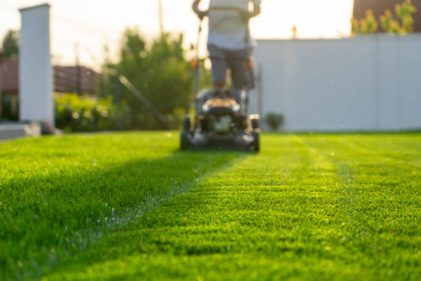 Lawn mower cutting stripes into a garden lawn